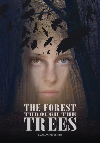 Фильмы онлайн